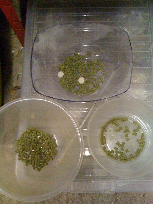 Aroma hops and steep hops weighed out. All pellets, unusually